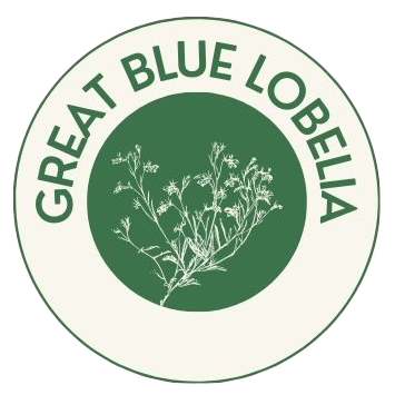 great blue lobella sponsor